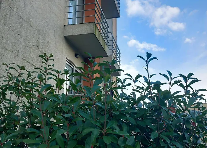 Appartement Exclusive Flat With Pool Braga